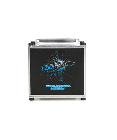 Stage II Controller Box